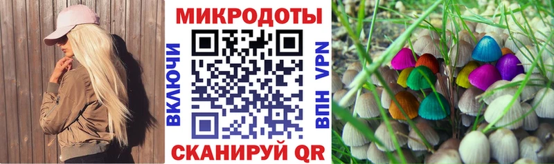 Псилоцибиновые грибы Psilocybe kraken онион Новозыбков