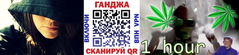 где можно купить наркотик  Новозыбков  Бошки Шишки VHQ 